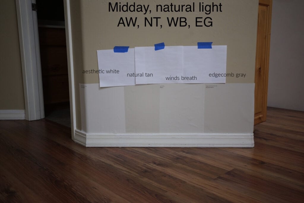 Natural light differences between Aesthetic, Natural TAn, Winds Breath, Edgecomb Gray. Samplize & Kylie m