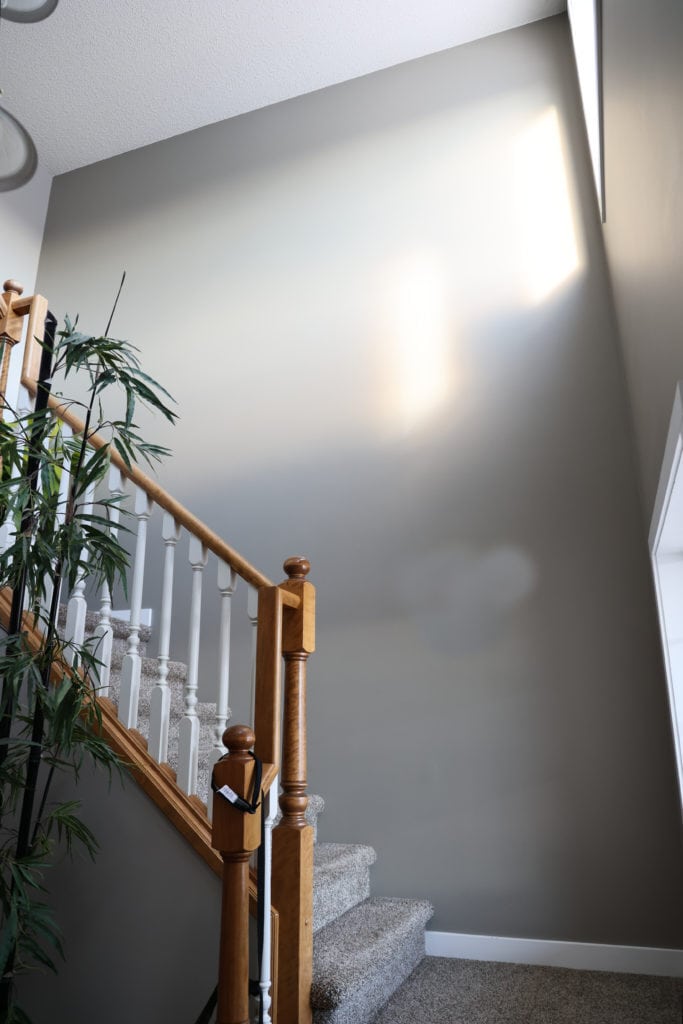 Sherwin Williams Intellectual Gray, greige paint color, wood hand rail, white trim, carpet on stairs