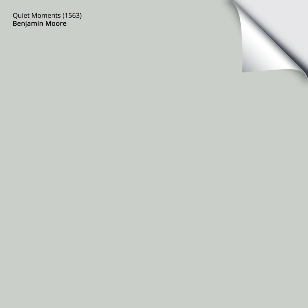 Benjamin Moore Quiet Moments Samplize Sample Kylie M Interiors EDesign