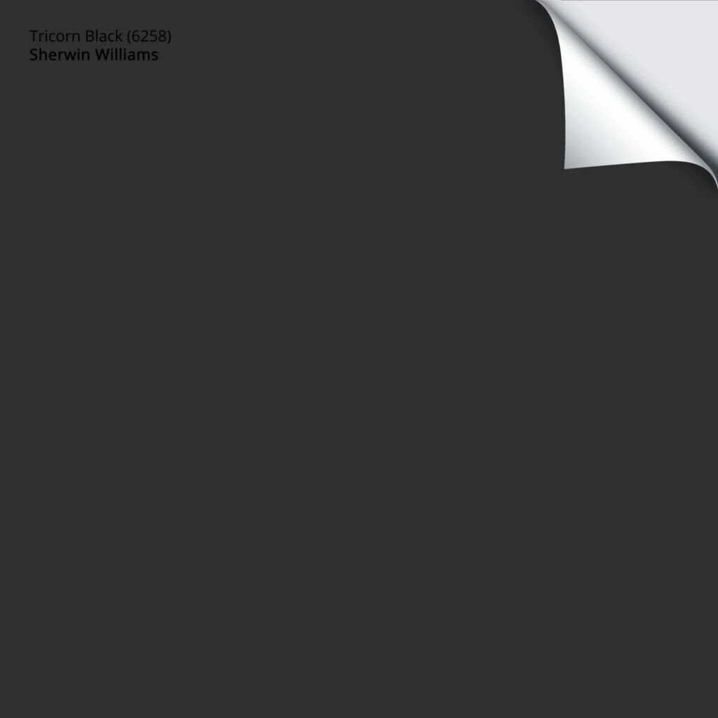 Sherwin Williams Tricorn Black Samplize Sample Swatch with Kylie M Interiors EDesign