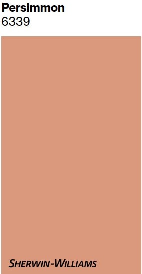 PERSIMMON, SAMPLIZE PEEL AND STICK PAINT COLORS. KYLIE M INTERIORS, ONLINE PAINT COLOR CONSULTANT, ORANGE TERRA COTTA PAINT COLOR