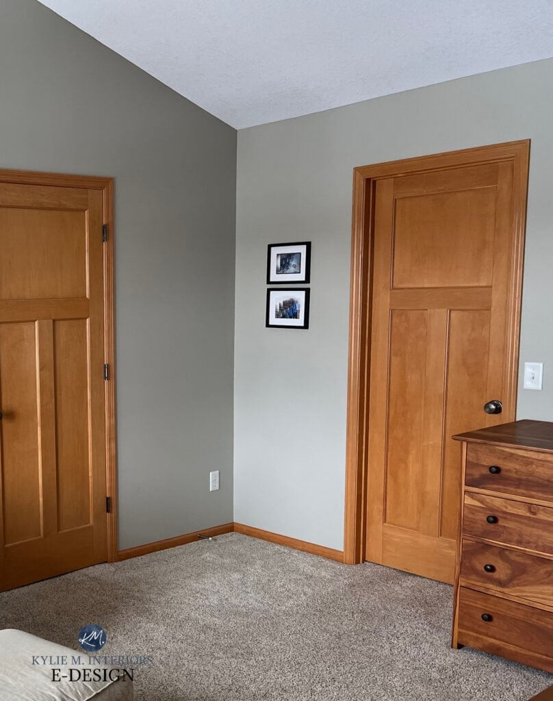 Sherwin Williams Jogging Path, best greige, warm gray taupe paint color, beige carpet, wood doors, wood trim,orange stain. Kylie M ONline paint color consulting blog