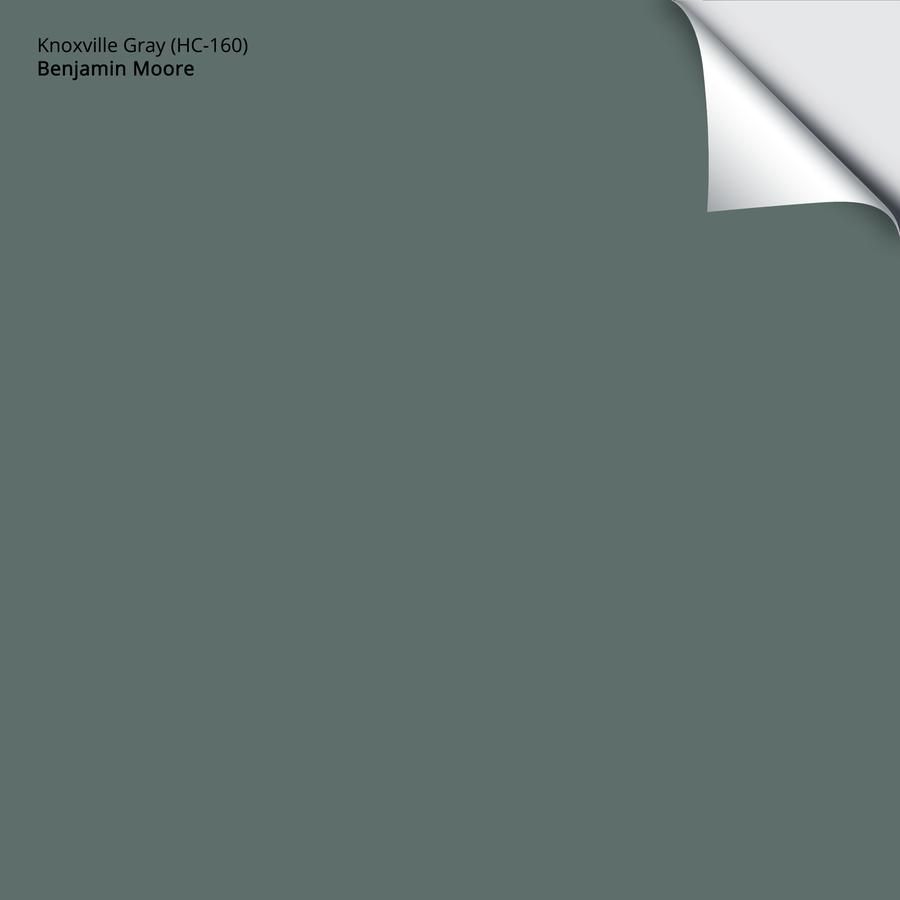 benjamin moore knoxville gray samplize peel and stick
