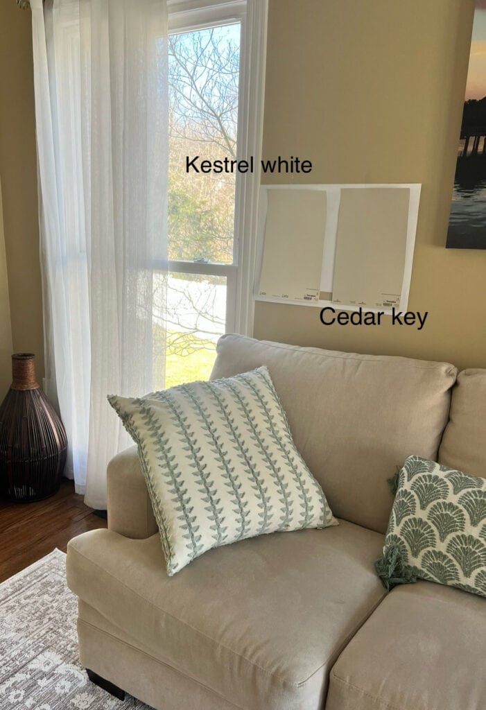 Benjamin Moore Cedar Key vs Sherwin Williams Kestrel Whit with taupe beige microfibre sofa and wood oak floor.