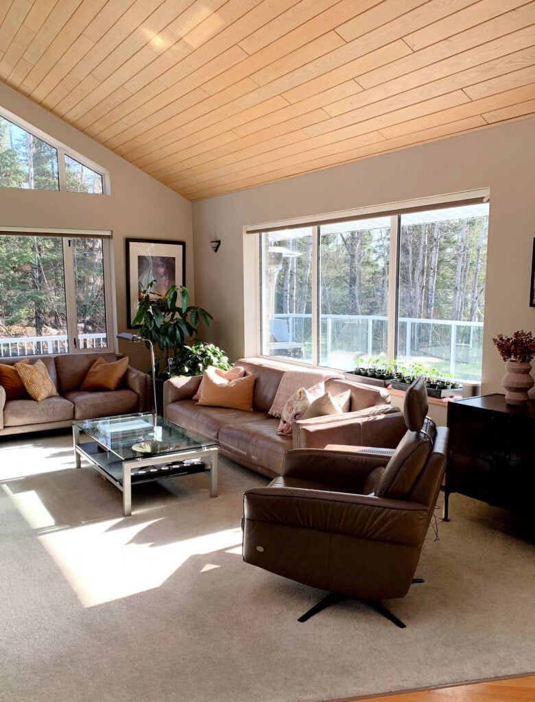 LIving room, vaulted sloped ceiling with Ash wood, wood trim, Benjamin Moore Smokey Taupe, Inukshuk paint color on walls, taupe, brown leather sofas