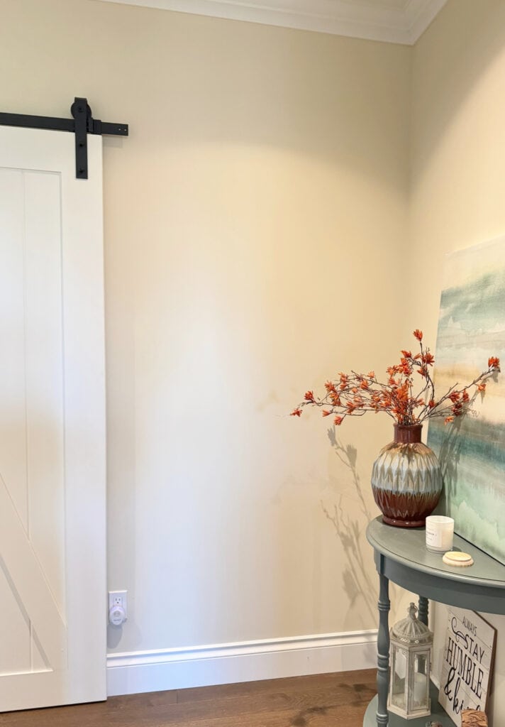 Sherwin Williams Antique White wiht Pure White trim in dark hallway with wood floor