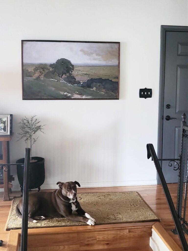 Sherwin Williams Heron Plume off white paint coloron walls, Benjamin Moore Kendall Charcoal painted inside door, wood floor, black stair railing