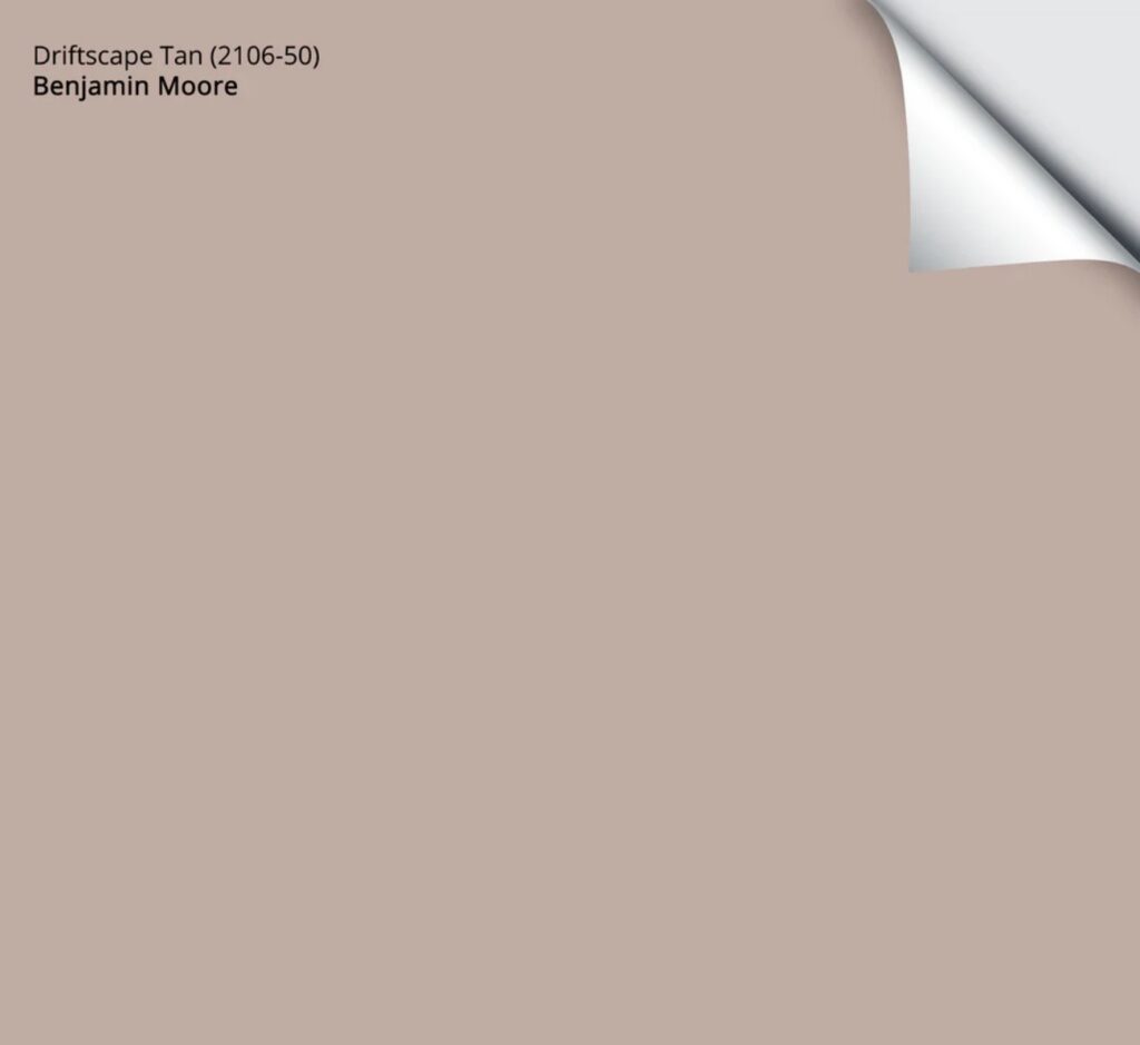 benjamin moore driftscape tan, pink rose mauve paint color, samplize peel and stick