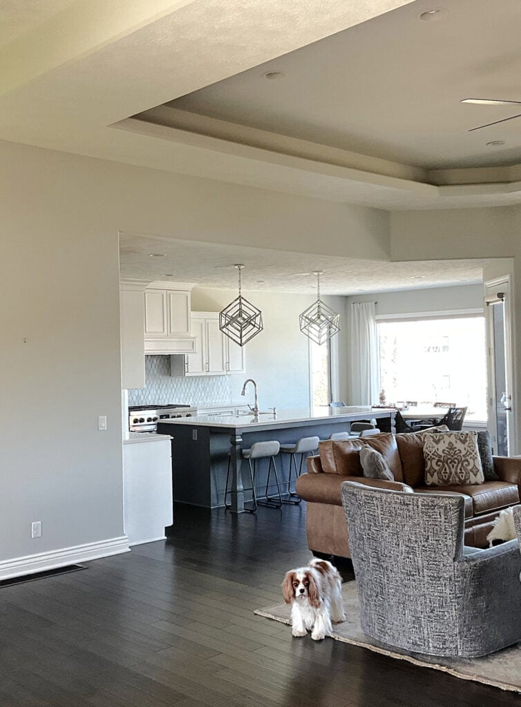 open concept living room, itchen, eating area with tray ceiling, Sherwin Williams Repose Gray paint color on walls, High Reflective White trim, dark wood floor