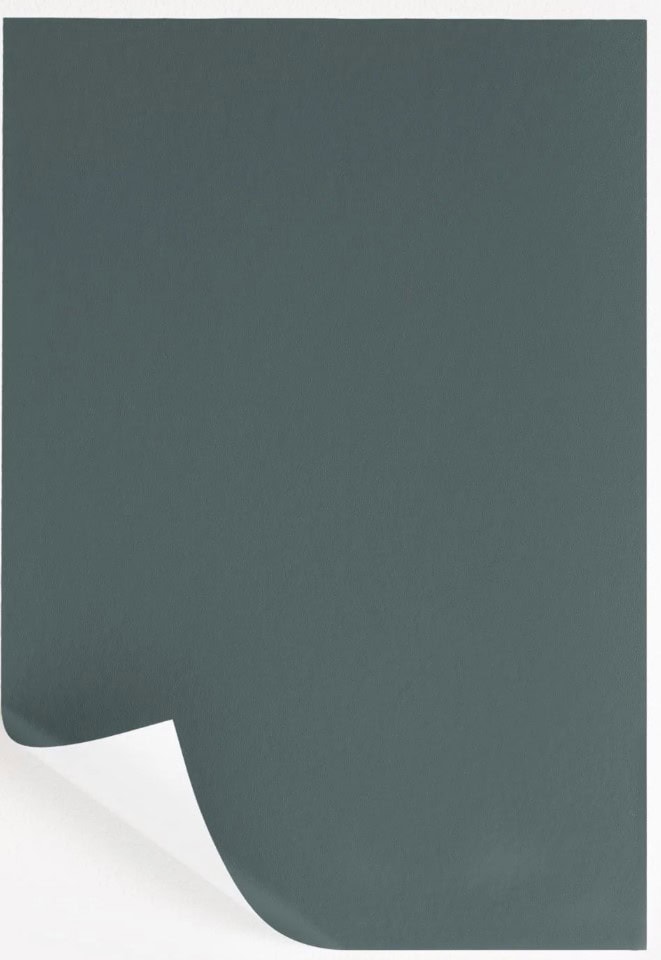 SAMPLIZE INCHYRA BLUE FARROW AND BALL BEST TEAL BLUE GREEN COLOR