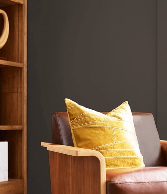 Sherwin Williams Clove, best dark brown black paint color