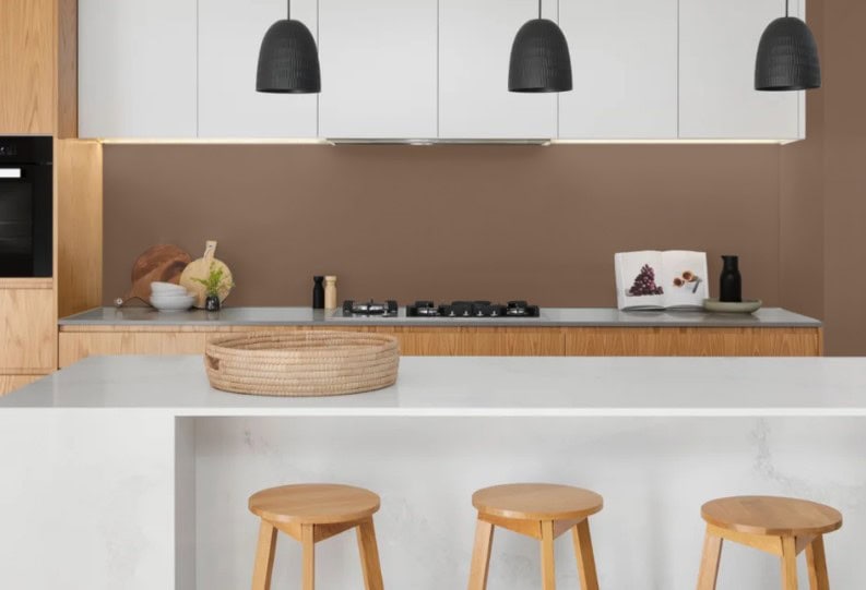 Sherwin Williams Grounded brown paint color
