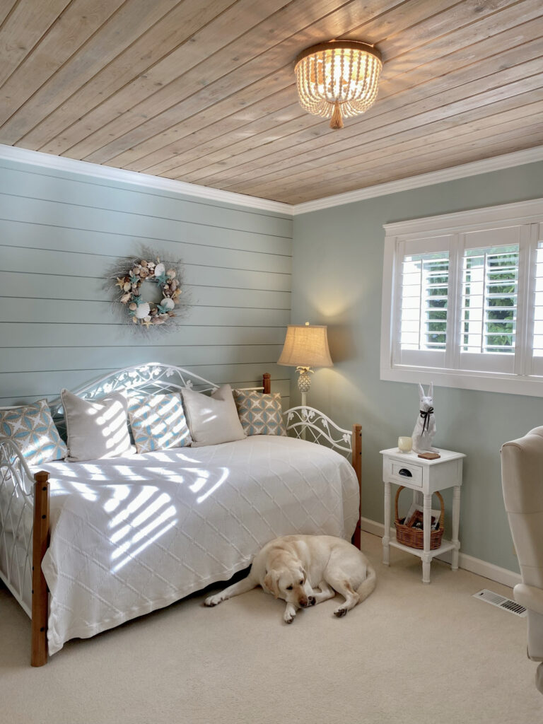 home office, guest bedroom blue-green gray paint color on walls, beige carpet, white trim, wood shiplap tongue and groove ceiling, pink stained white washed wood. Sherwin Williams Rainwashed