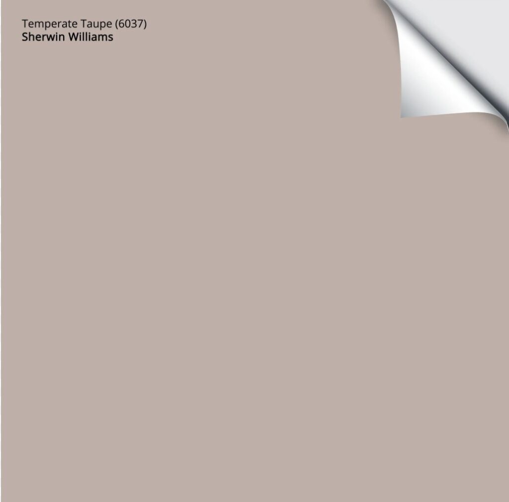 temperate taupe samplize peel and stick
