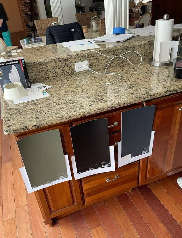 Dark muted green cabinet color with Sherwin Williams Tricorn Black and muted navy blue for island with granite countertop similar to Santa Cecilia