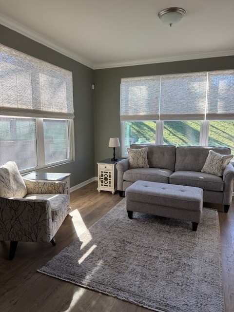 Den with green gray walls, Sherwin Williams Cornwall Slate, warm gray taupe sofa, and blinds