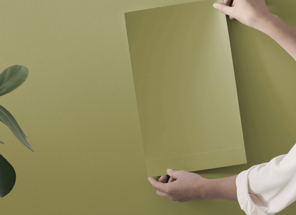 Benjamin Moore Terrapin green, dill green color