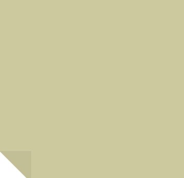 sherwin williams shagreen light dill green paint color