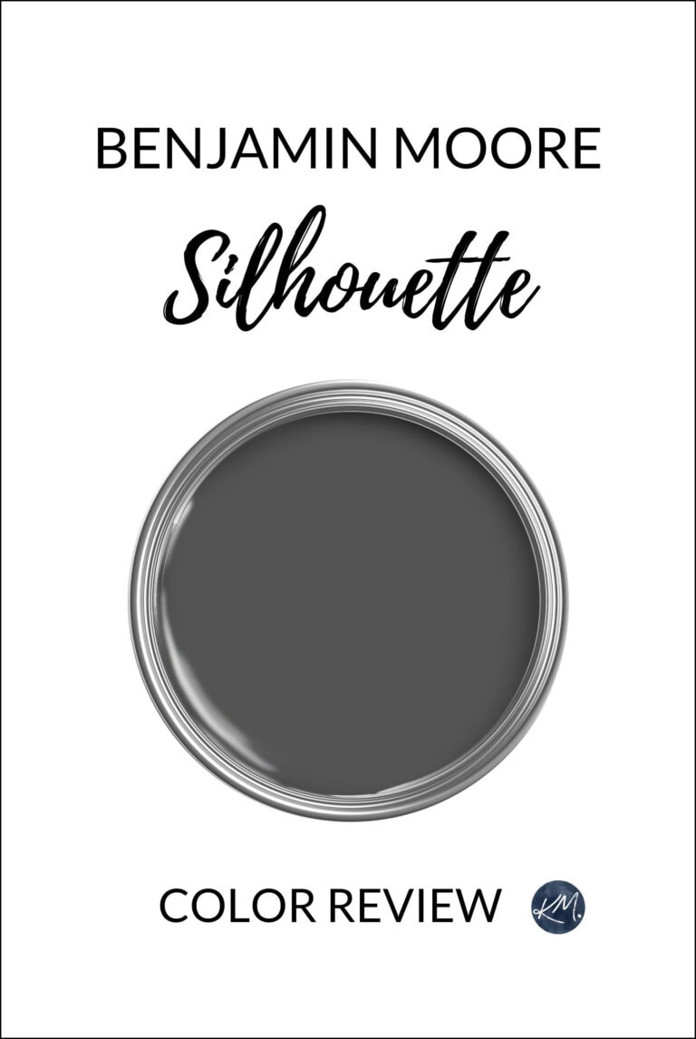 Benjamin Moore Silhouette, paint color of the year for 2026