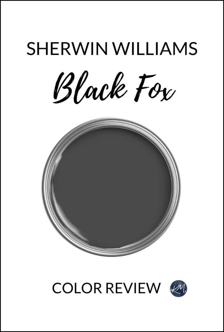 Sherwin Williams Black Fox paint color review, Kylie M.