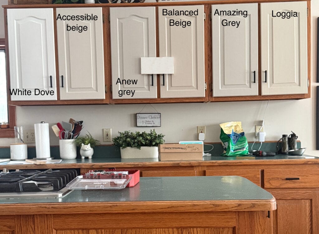 Cabinet paint color samples, Sherwin Williams Balanced Beige, Anew Gray, Amazing Gray, Loggia, Agreeable Gray, Benjamin Moore White Dove