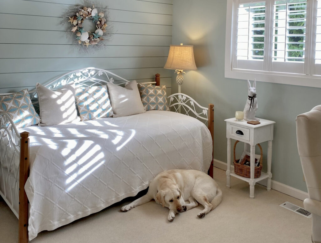 home office, guest bedroom blue-green gray paint color on walls, beige carpet, white trim, Sherwin Williams Rainwashed