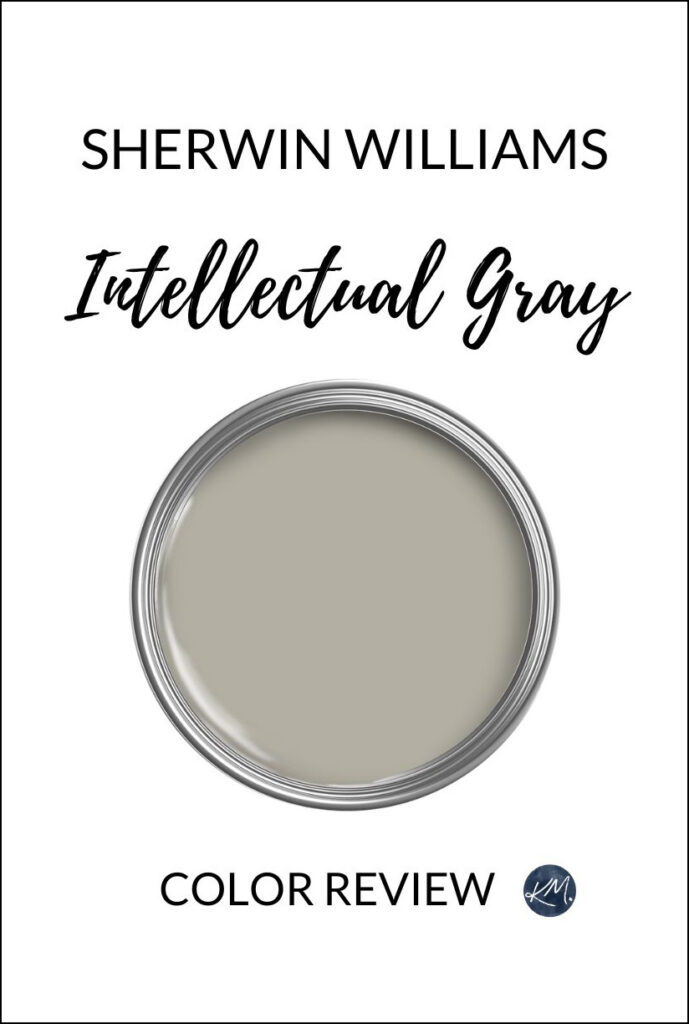 Sherwin Williams Intellectual Gray pa