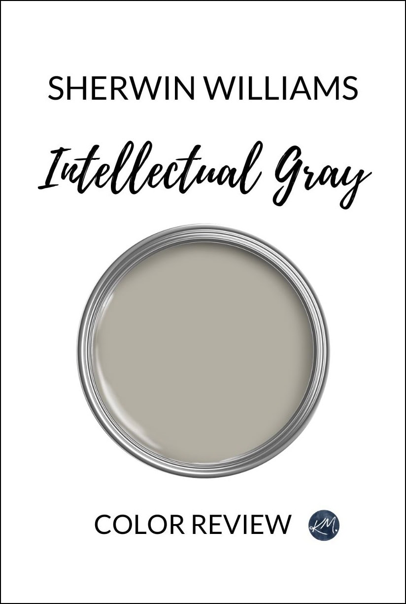 Sherwin Williams Intellectual Gray pa